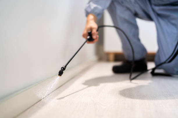 Licensed Mosquito Control service in St. Charles, MO - Show Me Pest Control