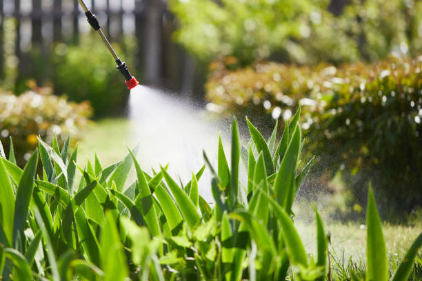 24/7 Emergency Mosquito Control experts in St. Charles, MO